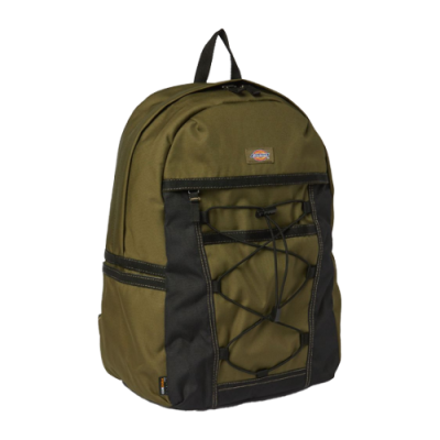 Backpacks Men Dickies Ashville Backpack DK0A4Y33MGR1 Green