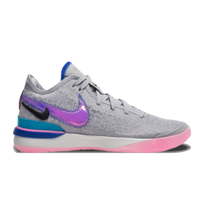 Basketball Nike Nike Zoom LeBron NXXT Gen DR8784-002 Grey